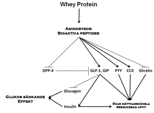 hur blandar man proteinpulver